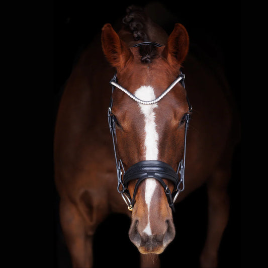 SD Design Hauso Bridle - Black