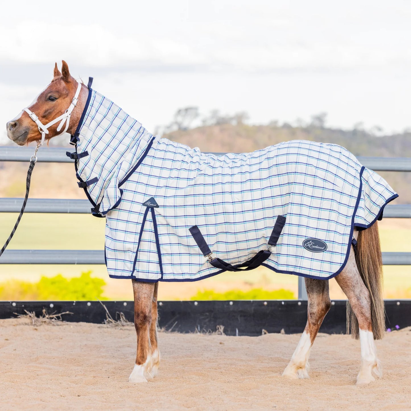 Earlwood Dual Season Combo