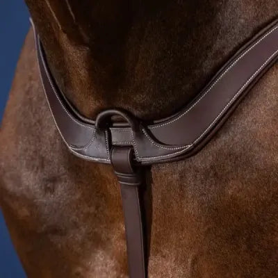 Dy'On Anatomical Breastplate - US Jumping Collection