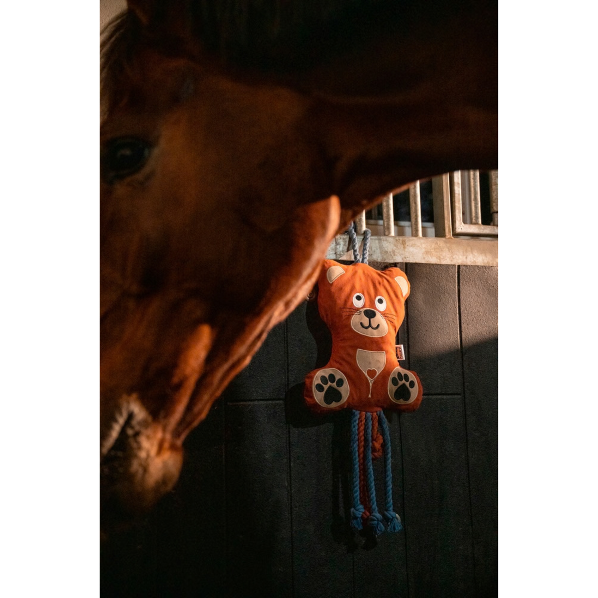Eskadron Bear Horse Toy Platinum 2026