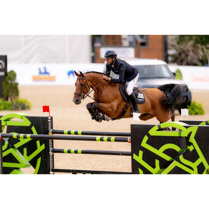 Eskadron Air-Flex Sport Tendon Boots