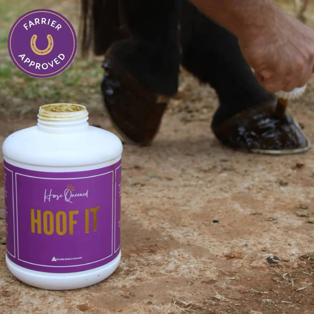 Horse Queened Hoof It