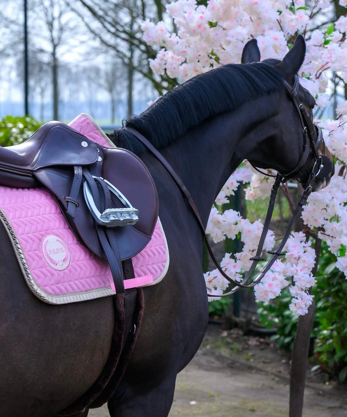 Joline Saddle Pad - Cherry Blossom Pink
