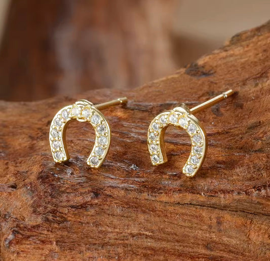 THD SS Horse Shoe Stud Earrings with Cubic Zirconias