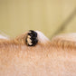 Hairy Pony Fake It