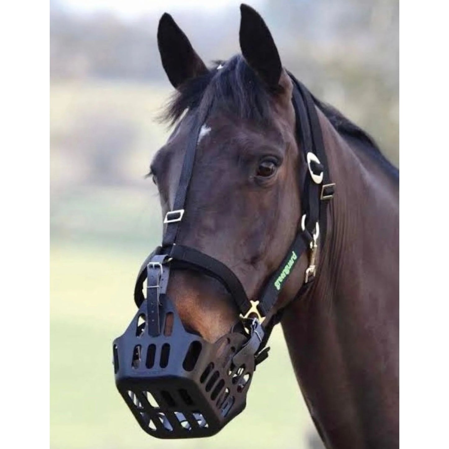 GreenGuard Grazing Muzzle