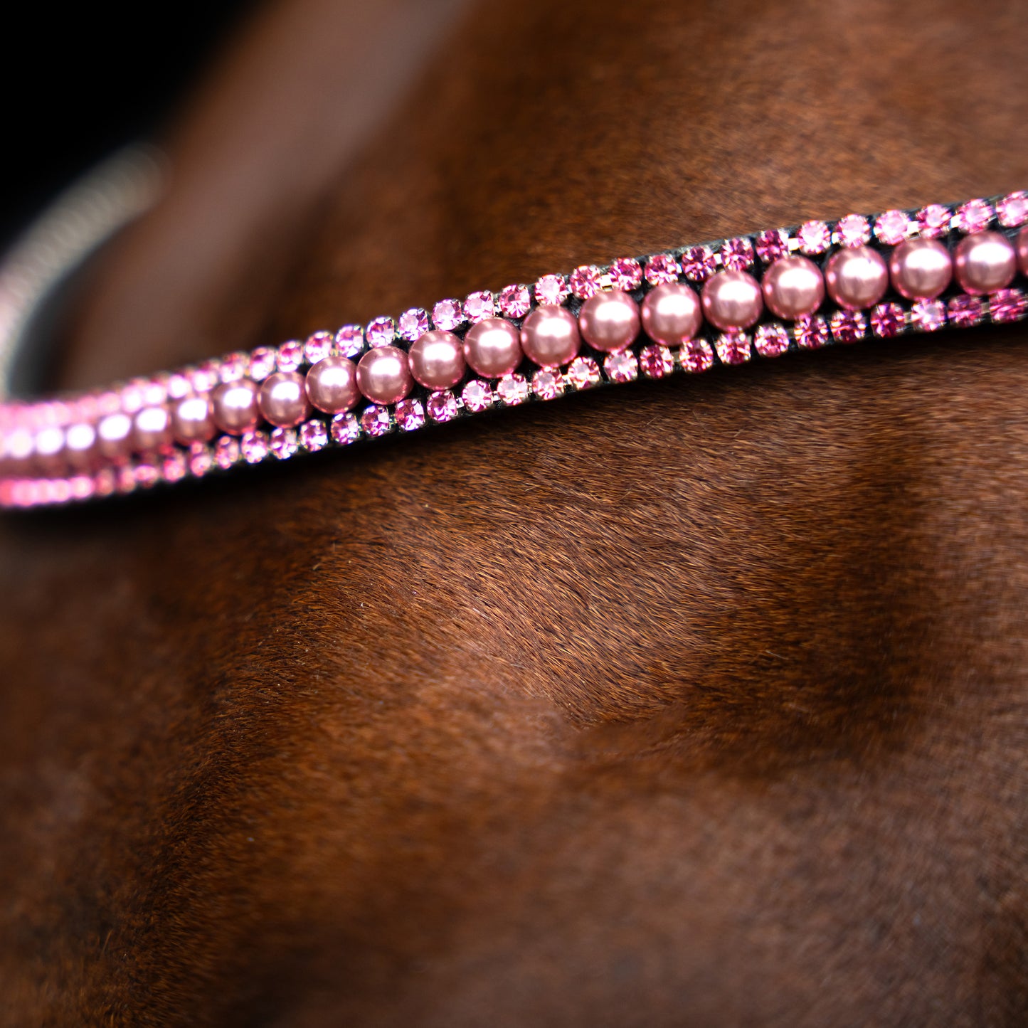 Imperial Riding Browband IRHBeads