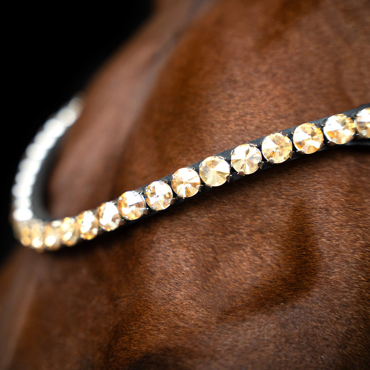 Imperial Riding Browband IRHGrande