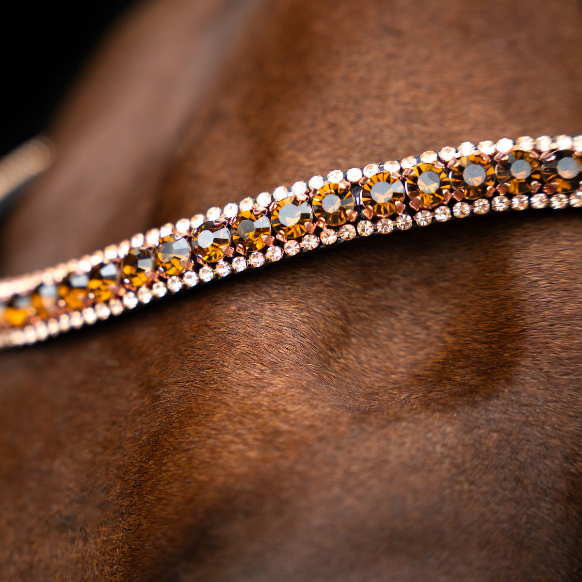 Imperial Riding Browband IRHGrande
