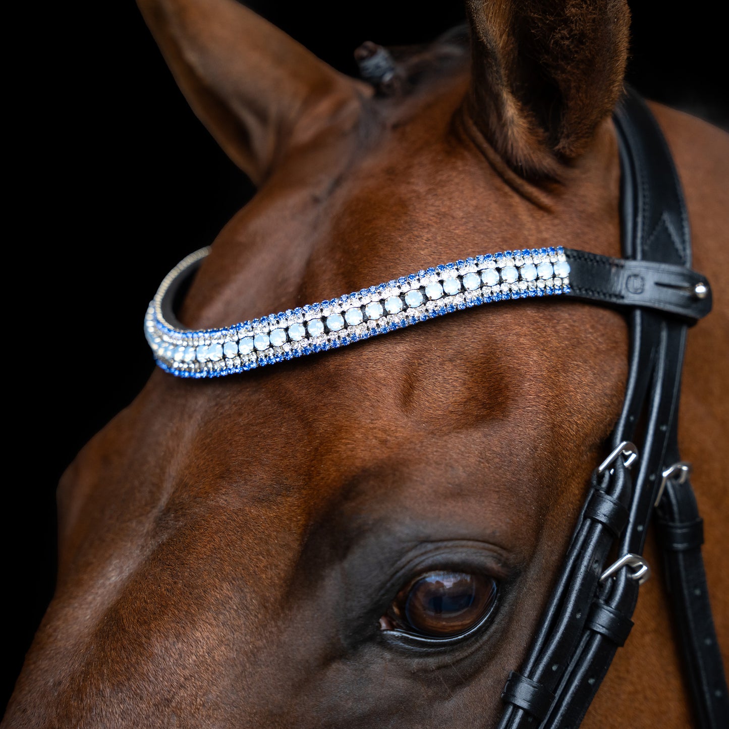 Imperial Riding Browband IRHMaxima