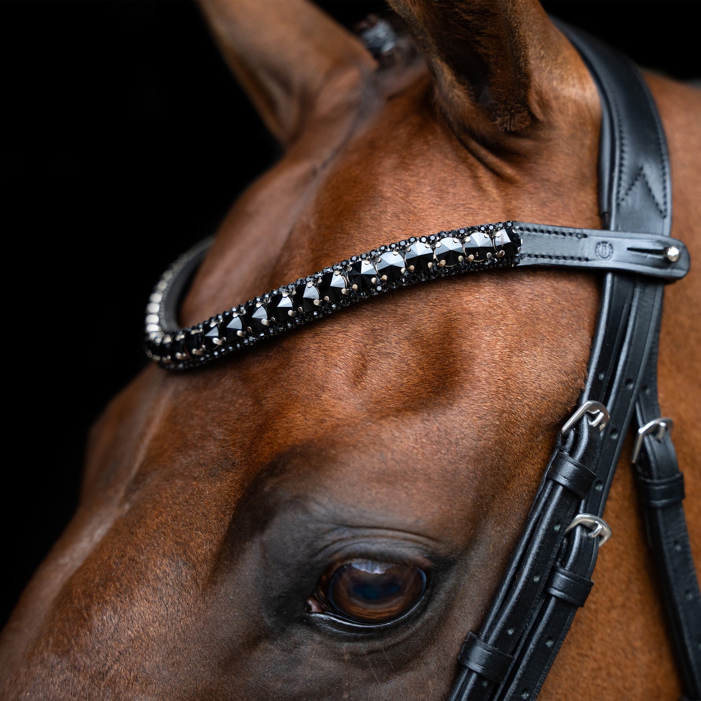 Imperial Riding Browband IRHMaxima