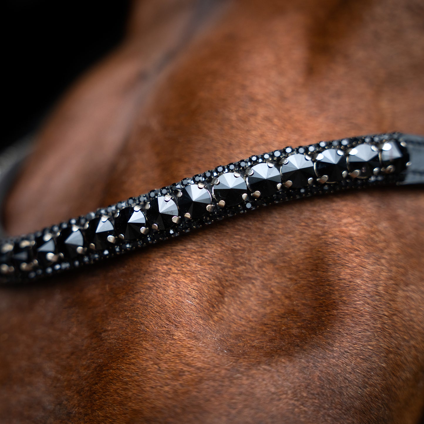Imperial Riding Browband IRHMaxima