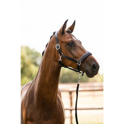 HKM Leather Head Collar - Glamour - PREORDER - CURRENTLY ON ORDER DUE MID JUNE