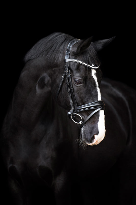 Imperial Riding Bridle IRHFria
