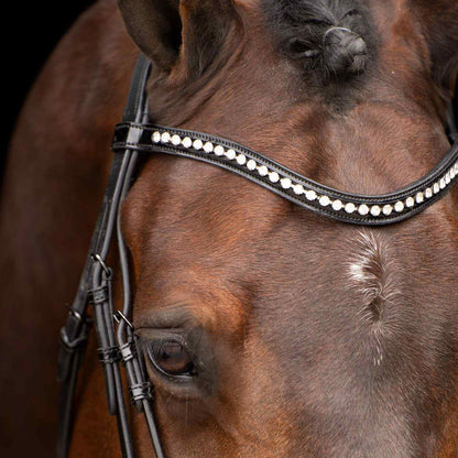 Imperial Riding Bridle IRHAthena - Black