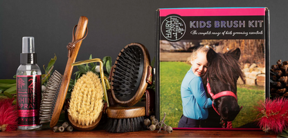 Hairy Pony Kids Brush Kit