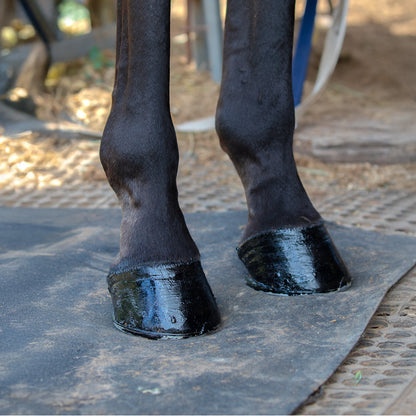 Nolian Hoof Safe Shine