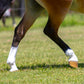 Equine White Sox