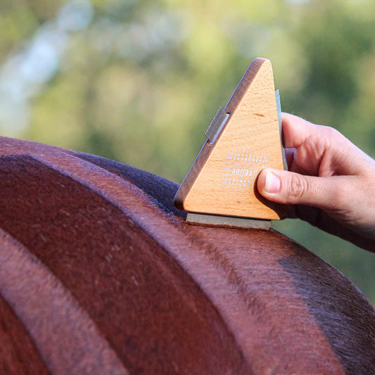 Ippico Equestrian Quarter Marker Tool