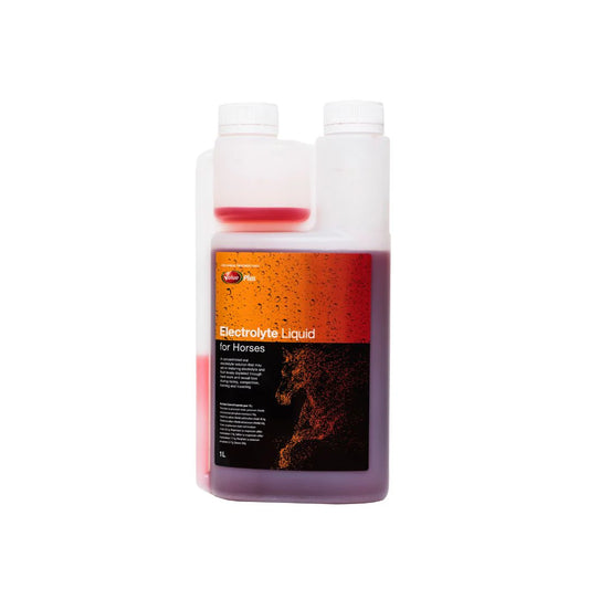 Value Plus Electrolyte Liquid