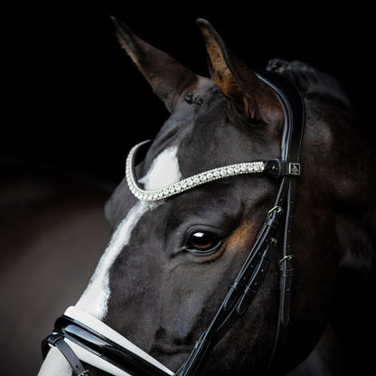 SD Design Olymbrio Browband - Black