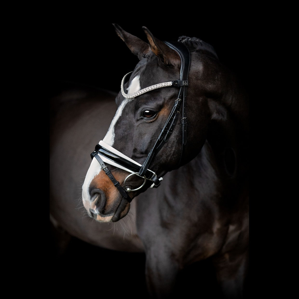 SD Design Olymbrio Browband - Black