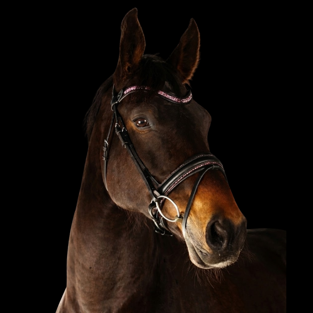 SD Design Action Bridle - Black/Rosa