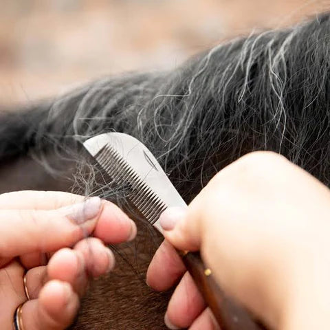 Smart Grooming Fold Up Levelling Knife