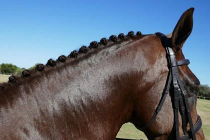 Smart Grooming Perfect Plaits