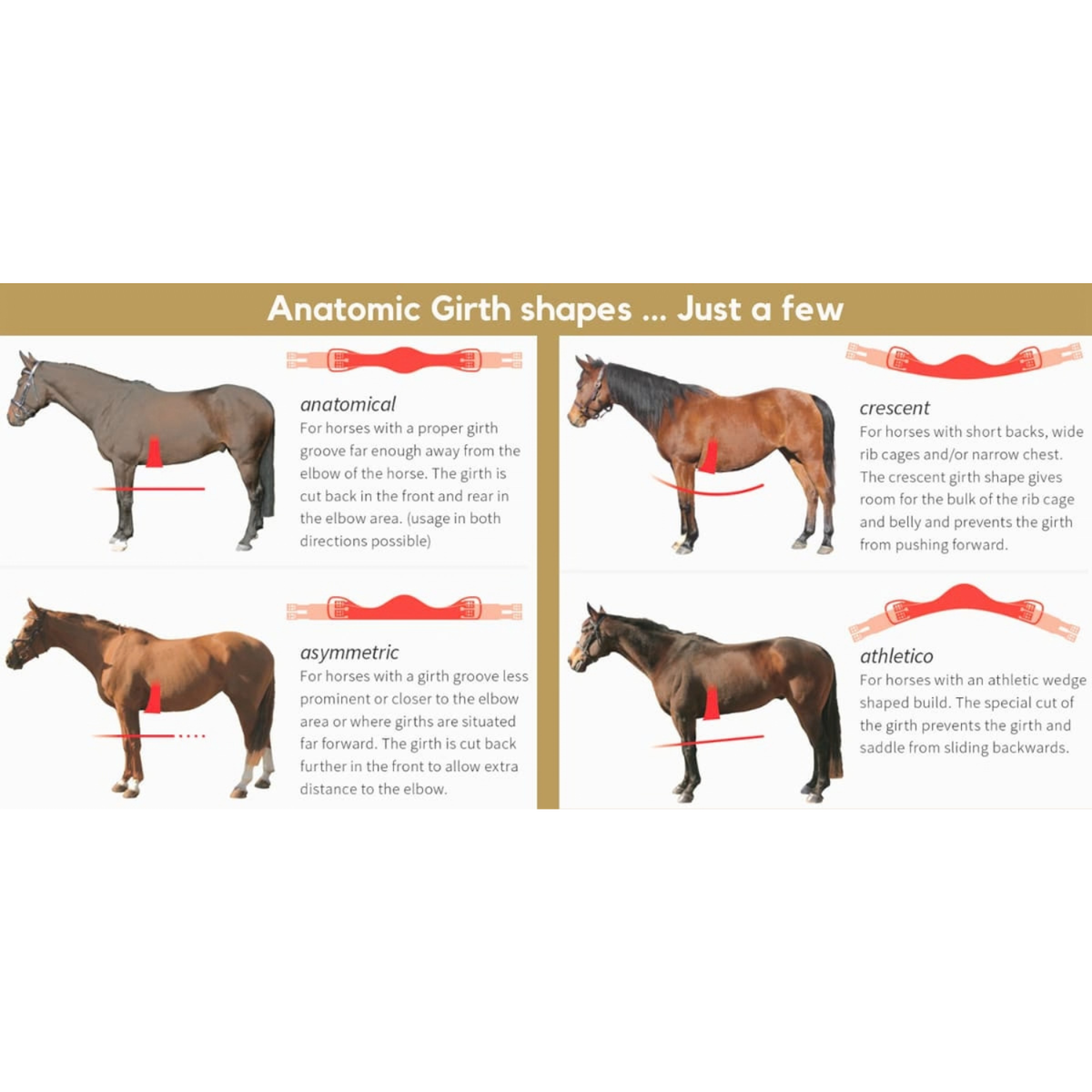 Mattes Crescent Girth