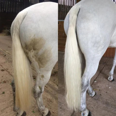 Smart Grooming Polar White Stain Remover