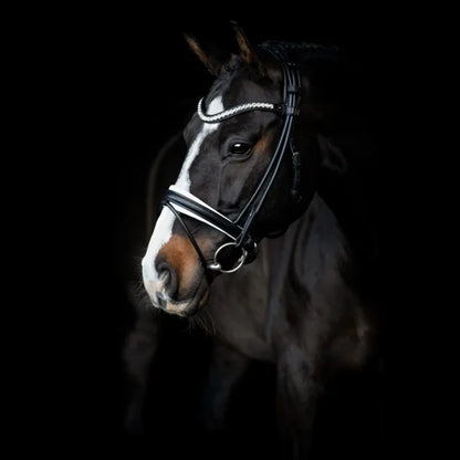 SD Design Duke De Niro II Rolled Bridle - Black/White