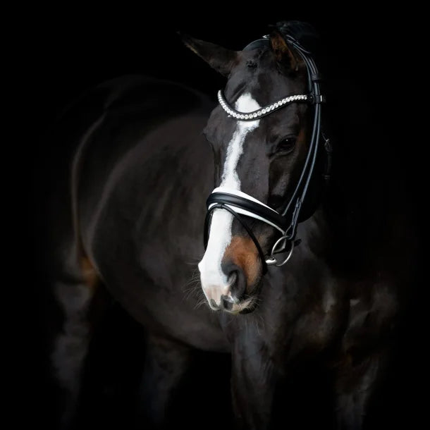 SD Design Duke De Niro II Rolled Bridle - Black/White