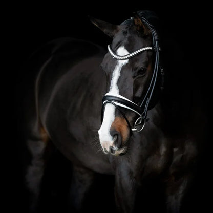 SD Design Duke De Niro II Rolled Bridle - Black/White