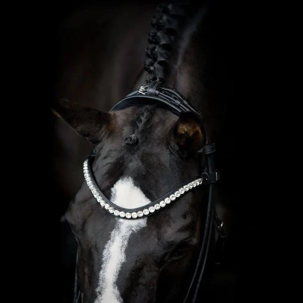 SD Design Duke De Niro II Rolled Bridle - Black/White