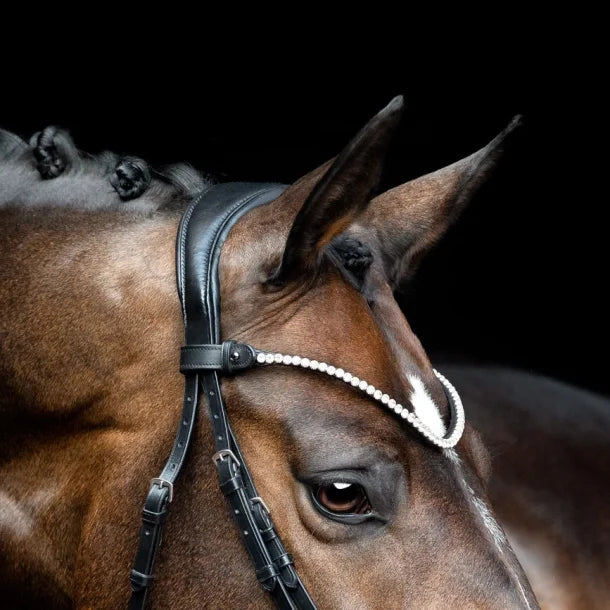 SD Design Rapsody Browband - Black/Clear