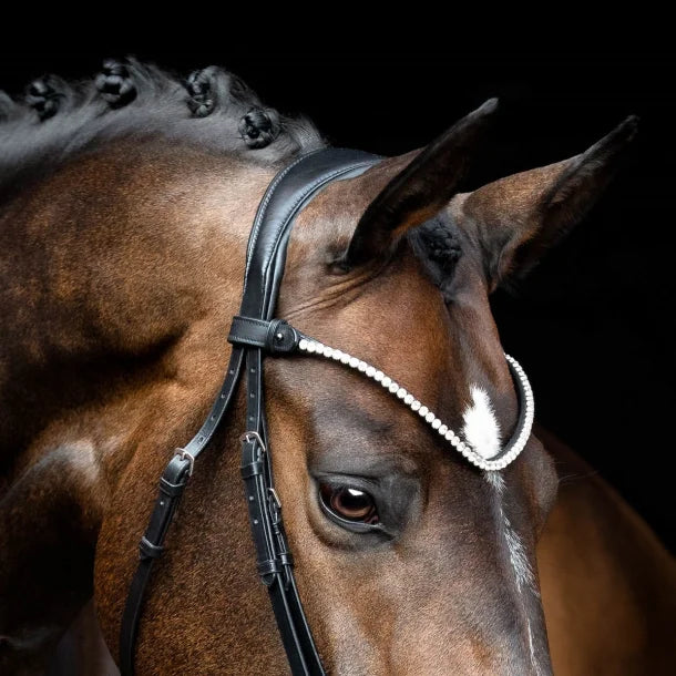 SD Design Rapsody Browband - Black/Clear