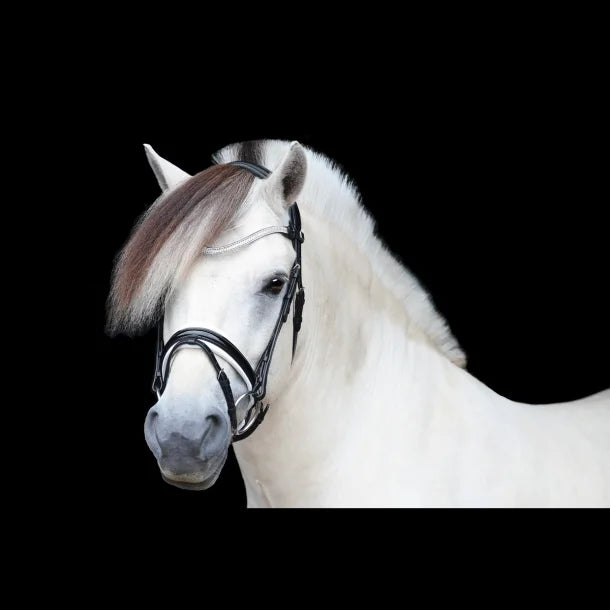 SD Design Gracieux Bridle - Black/White/Patent