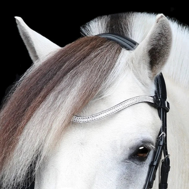 SD Design Gracieux Bridle - Black/White/Patent