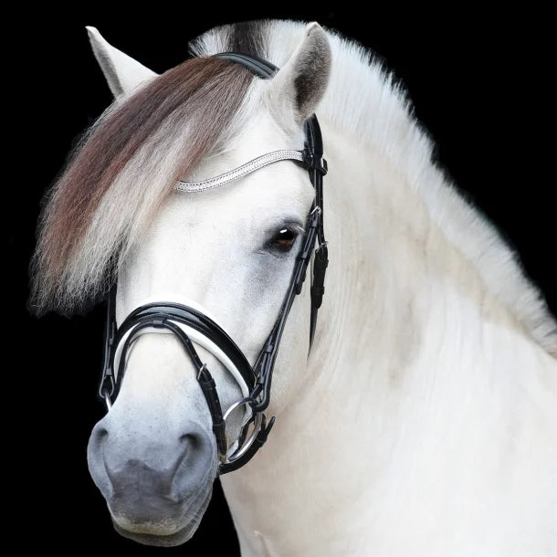 SD Design Gracieux Bridle - Black/White/Patent