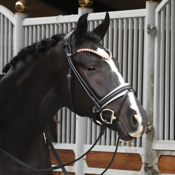 SD Design Velaggio Browband - Black/Rose Gold