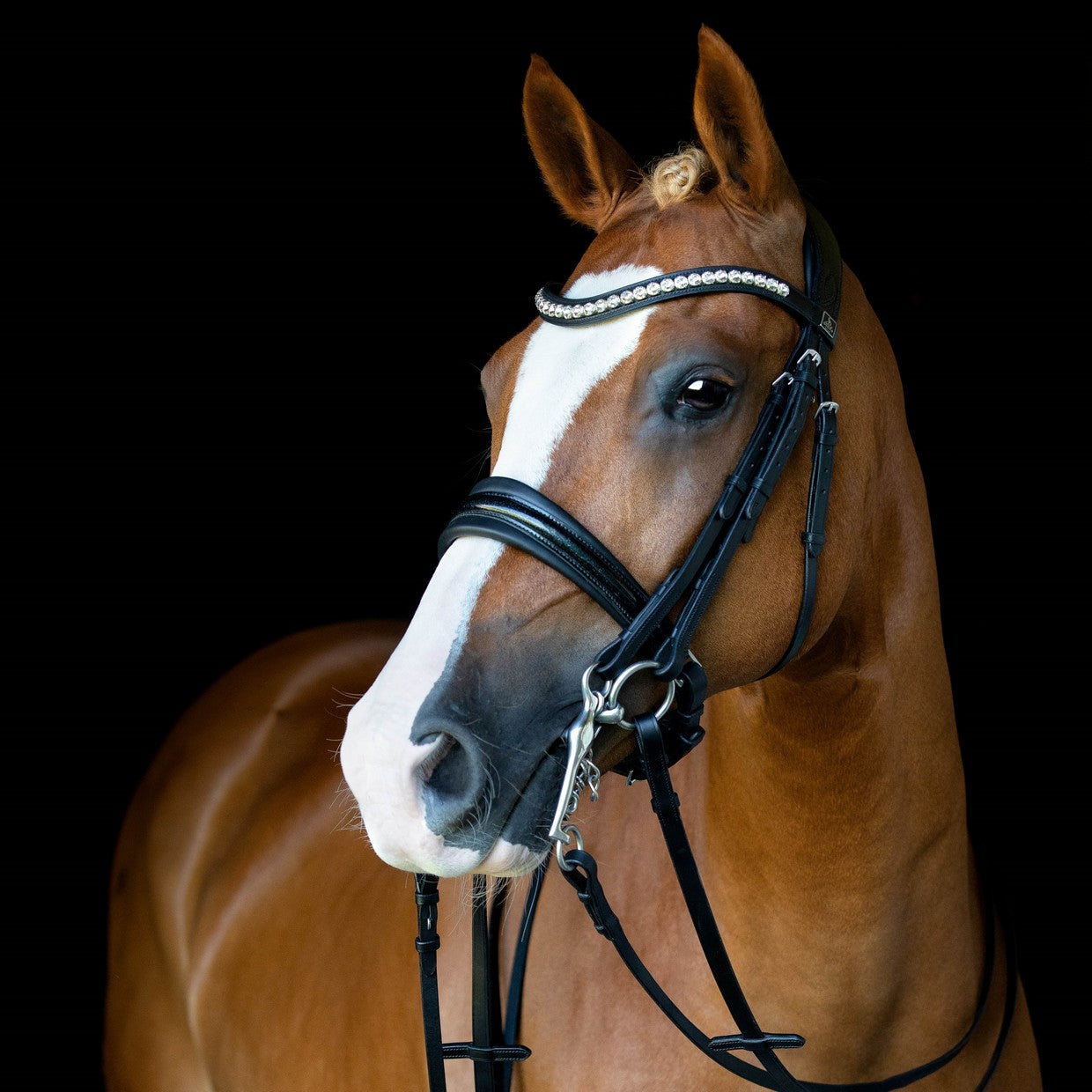 SD Design Mystery Double Bridle - Black/Black/Glitter Patent