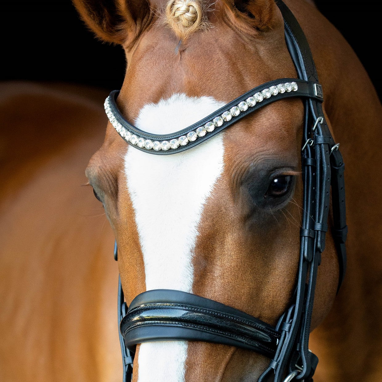 SD Design Mystery Double Bridle - Black/Black/Glitter Patent