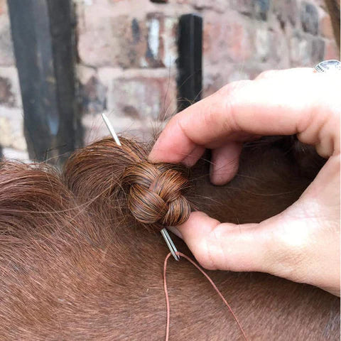 Smart Grooming Blunt Ended Plaiting Needles