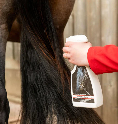 Smart Grooming Tame the Mane