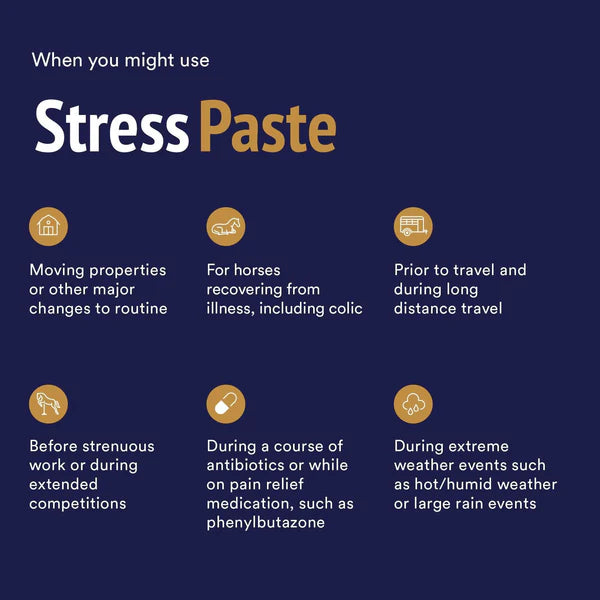 Poseidon Equine Stress Paste