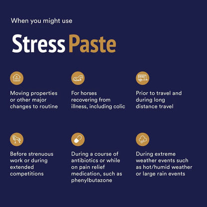 Poseidon Equine Stress Paste