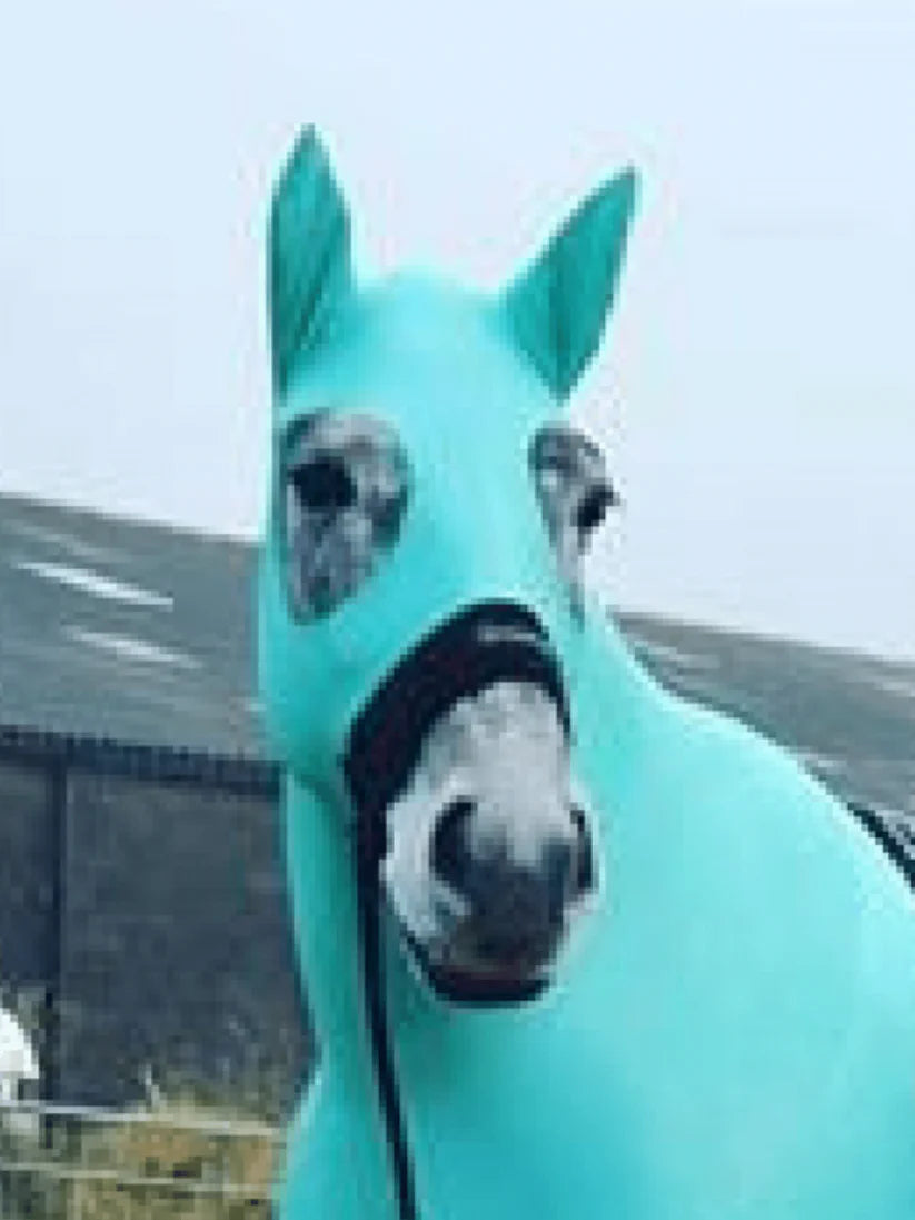 HorzeHood With Ears