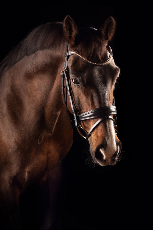 Mrs Ros Deluxe Bridle Knight Power Single Trens