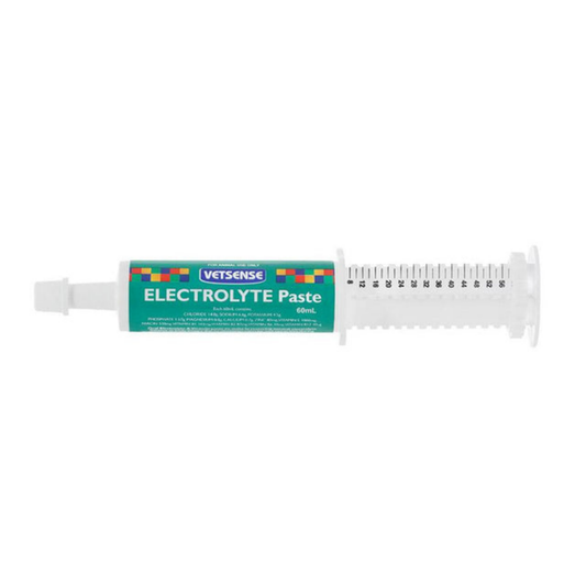 Vetsense Electrolyte Paste - 60ml